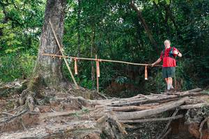 BIB: 
                            <button type="button" onclick="openModal(27801621)" class="btn btn-primary btn-sm float-right btn-popup" data-toggle="modal" data-target=".modal-high-quality">
                        <i class="fas fa-shopping-cart"></i> Add to Cart
                    </button>
                                            <button type="button" onclick="isThisMe(27801621, true)" class="btn btn-success btn-sm float-right btn-popup btn-isme hidden" data-toggle="tooltip" data-placement="bottom" title="นี่คือรูปของคุณใช่ไหม คลิกที่นี่เพื่อเอาเข้าอัลบั้ม">
                        <i class="fas fa-plus"></i> Add to album
                    </button>
                    <button type="button" onclick="isThisMe(27801621, false)" class="btn btn-warning btn-sm float-right btn-popup btn-isnotme hidden">
                        <i class="fas fa-ban"></i> Remove from album
                    </button>